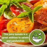 Yellow Brandywine Tomato Seeds - Non-GMO Heirloom