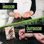 Heirloom Tomato Seeds Variety Pack - 9 Types