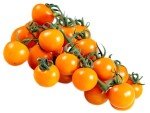 Sun Gold Cherry Tomato Seeds - Non-GMO for Home Gardening