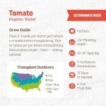Tomato 'Roma' Seed Packet - 140mg