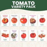 Diverse Tomato Seeds Pack for Indoor & Outdoor Gardening