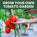 Diverse Tomato Seeds Pack for Indoor & Outdoor Gardening