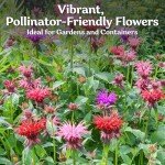 Lemon Bee Balm Flower Seeds Mix for Gardeners