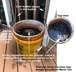 Sun Gold Cherry Tomato Seeds - Non-GMO for Home Gardening