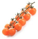 Sun Gold Cherry Tomato Seeds - Non-GMO for Home Gardening