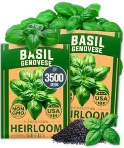 Genovese Basil Seeds - 2 Pack for Gardening