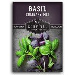Culinary Basil Seed Mix - 5 Heirloom Varieties
