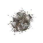 Wild Bergamot Bee Balm Seeds - 400 Heirloom Seeds