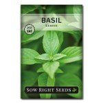 Lemon Basil Seeds - Non-GMO Heirloom Packet