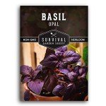 Opal Basil Seeds for Your Home Garden
