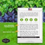 Culinary Basil Seed Mix - 5 Heirloom Varieties