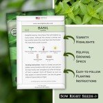 Lemon Basil Seeds - Non-GMO Heirloom Packet