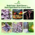 Dark Opal Basil Seeds - 1000 Non-GMO Seeds