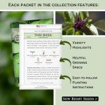 Basil Seed Collection - Genovese, Thai, Lemon & More