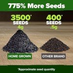 Genovese Basil Seeds - 2 Pack for Gardening