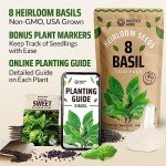 8-Pack Non-GMO Culinary Basil Seeds Variety