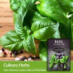 Culinary Basil Seed Mix - 5 Heirloom Varieties