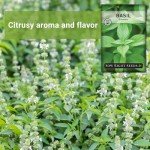 Lemon Basil Seeds - Non-GMO Heirloom Packet