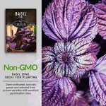 Opal Basil Seeds for Your Home Garden