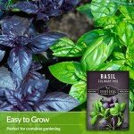 Culinary Basil Seed Mix - 5 Heirloom Varieties