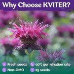 Lemon Bee Balm Flower Seeds Mix for Gardeners
