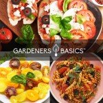 Basil Seed Variety Pack for Home Gardening