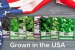 Basil Seed Variety Pack for Home Gardening