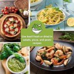 Basil Seed Collection - Genovese, Thai, Lemon & More