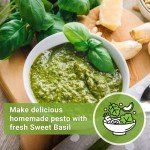 Genovese Sweet Basil Seeds for Home Gardening