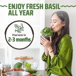 8-Pack Non-GMO Culinary Basil Seeds Variety