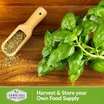Culinary Basil Seed Mix - 5 Heirloom Varieties