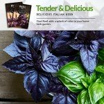 Opal Basil Seeds for Your Home Garden