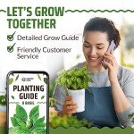 8-Pack Non-GMO Culinary Basil Seeds Variety