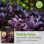 Opal Basil Seeds for Your Home Garden