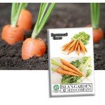 Danvers 126 Carrot Seeds - 2000+ Non-GMO Heirloom