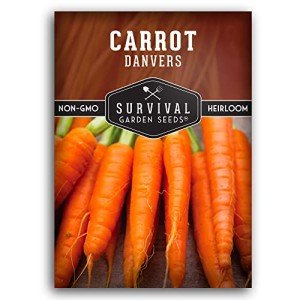 Danvers Carrot Seeds for Home Vegetable Garden