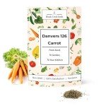 Danvers 126 Carrot Seeds - Heirloom Non-GMO Pack