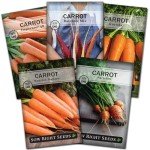 Carrot Seed Collection - Rainbow & Heirloom Varieties