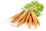 Danvers 126 Carrot Seeds - 2000+ Non-GMO Heirloom