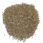 Organic Scarlet Nantes Carrot Seeds - 1500 Count