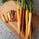 Heirloom Non-GMO Carrot Seeds - 4 Varieties