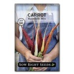 Carrot Seed Collection - Rainbow & Heirloom Varieties