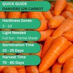 Danvers 126 Carrot Seeds - Heirloom Non-GMO Pack