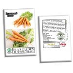 Danvers 126 Carrot Seeds - 2000+ Non-GMO Heirloom
