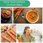 Danvers 126 Carrot Seeds - Heirloom Non-GMO Pack