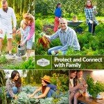 Danvers Carrot Seeds for Home Vegetable Garden