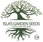 Danvers 126 Carrot Seeds - 2000+ Non-GMO Heirloom
