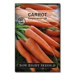 Carrot Seed Collection - Rainbow & Heirloom Varieties