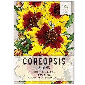 Coreopsis Plains Heirloom Seeds for Planting
