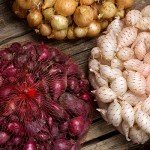 Mixed Onion Sets: Red, White & Yellow Bulbs